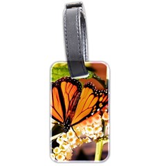 Monarch Butterfly Nature Orange Luggage Tags (two Sides) by Amaryn4rt