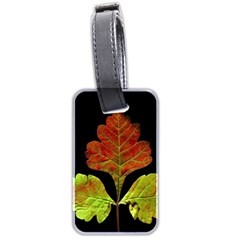 Autumn Beauty Luggage Tags (two Sides) by Nexatart