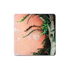 Background Stone Wall Pink Tree Square Magnet by Nexatart