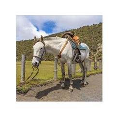 White Horse Tied Up At Cotopaxi National Park Ecuador Small Satin Scarf (square)  by dflcprints