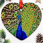 Graphic Painting Of A Peacock Ornament (Heart) Front