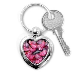 Raspberry Delight Key Chains (heart)  by Nexatart