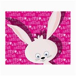 Easter bunny  Small Glasses Cloth Front