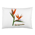 Bird Of Paradise Pillow Case 26.62 x18.9  Pillow Case