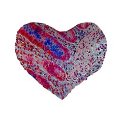 Histology Inc Histo Logistics Incorporated Alcian Blue Standard 16  Premium Heart Shape Cushions