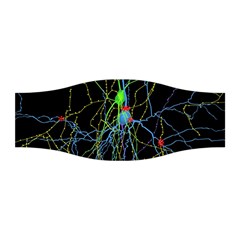 Synaptic Connections Between Pyramida Neurons And Gabaergic Interneurons Were Labeled Biotin During Stretchable Headband by Mariart