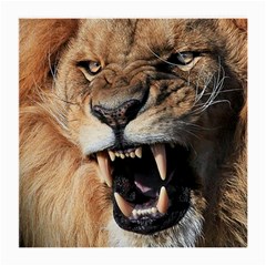 Male Lion Angry Medium Glasses Cloth (2-side) by Celenk