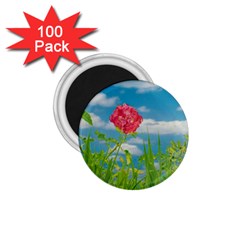 Beauty Nature Scene Photo 1 75  Magnets (100 Pack)  by dflcprints