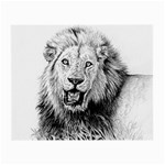 Lion Wildlife Art And Illustration Pencil Small Glasses Cloth Front