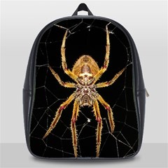 Insect Macro Spider Colombia School Bag (xl) by BangZart