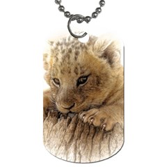 Lion Cub Close Cute Eyes Lookout Dog Tag (one Side)