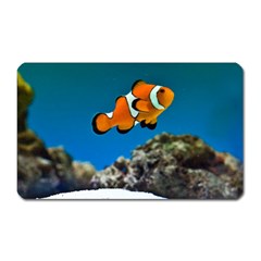 Clownfish 1 Magnet (rectangular) by trendistuff