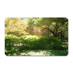 Highland Park 19 Magnet (rectangular) by bestdesignintheworld