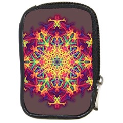 Joyful Living Compact Camera Cases by aumaraspiritart