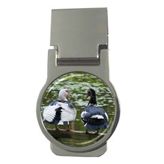 Muscovy Ducks At The Pond Money Clips (round)  by IIPhotographyAndDesigns