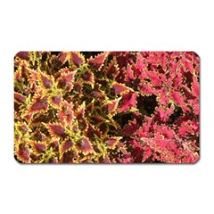 Plant Leaves Foliage Pattern Magnet (rectangular) by Celenk