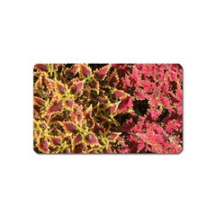 Plant Leaves Foliage Pattern Magnet (name Card) by Celenk