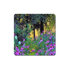 Hazy Morning Sunrise In My Rubio Garden Square Magnet by myrubiogarden