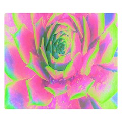 Lime Green And Pink Succulent Sedum Rosette Double Sided Flano Blanket (small)  by myrubiogarden