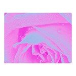 Perfect Hot Pink And Light Blue Rose Detail Double Sided Flano Blanket (Mini)  35 x27  Blanket Front