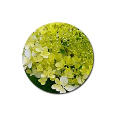 Elegant Chartreuse Green Limelight Hydrangea Macro Rubber Round Coaster (4 Pack)  by myrubiogarden