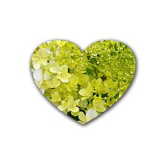 Elegant Chartreuse Green Limelight Hydrangea Macro Heart Coaster (4 Pack)  by myrubiogarden