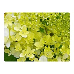 Elegant Chartreuse Green Limelight Hydrangea Macro Double Sided Flano Blanket (mini)  by myrubiogarden