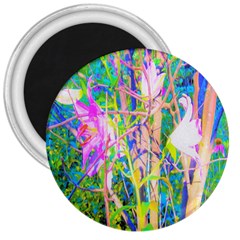 Abstract Oriental Lilies In My Rubio Garden 3  Magnets by myrubiogarden