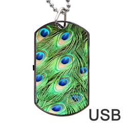 Peacock Feathers Peafowl Dog Tag Usb Flash (two Sides) by Wegoenart