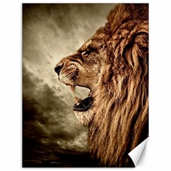 Roaring Lion Canvas 12  X 16  by Sudhe