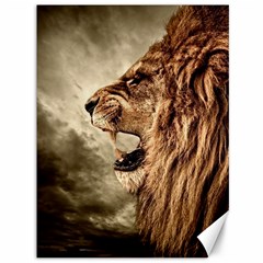 Roaring Lion Canvas 36  X 48  by Sudhe