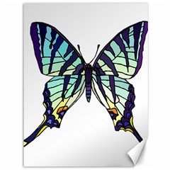 A Colorful Butterfly Canvas 36  X 48  by Sudhe