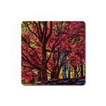 Autumn Colorful Nature Trees Square Magnet Front