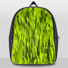 Agricultural Field   School Bag (large) by rsooll