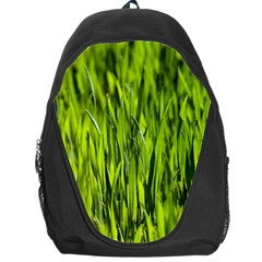 Agricultural Field   Backpack Bag by rsooll