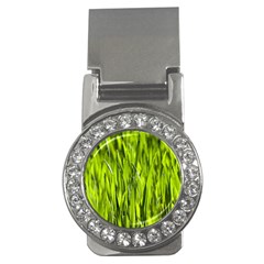 Agricultural Field   Money Clips (cz)  by rsooll