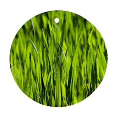 Agricultural Field   Round Ornament (two Sides) by rsooll