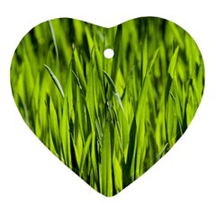 Agricultural Field   Heart Ornament (two Sides) by rsooll