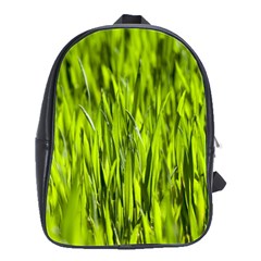 Agricultural Field   School Bag (large) by rsooll