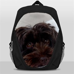 Laying In Dog Bed Backpack Bag by pauchesstore