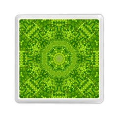 Spring Flower Joy Memory Card Reader (square) by pepitasart