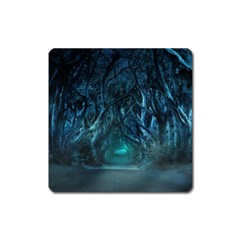 Trees Road Moonlight Avenue Square Magnet by Nexatart