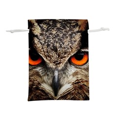 Owl Bird Eyes Eagle Owl Birds Lightweight Drawstring Pouch (m) by Wegoenart