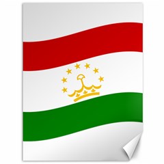 Flag Iran Tajikistan Afghanistan Canvas 36  X 48  by Sapixe