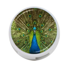 Peacock Feathers Bird Nature 4-port Usb Hub (one Side) by Vaneshart