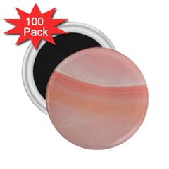 Pink Sky 2 25  Magnets (100 Pack)  by WILLBIRDWELL