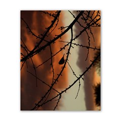 Bird On Branches Poster 16  X 20 