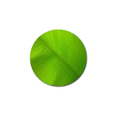 Banana Leaf Golf Ball Marker by artworkshop