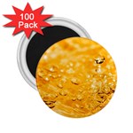 Water 2.25  Magnets (100 pack)  Front