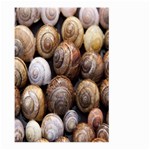 Snail Shells Pattern Arianta Arbustorum Large Garden Flag (Two Sides) Back